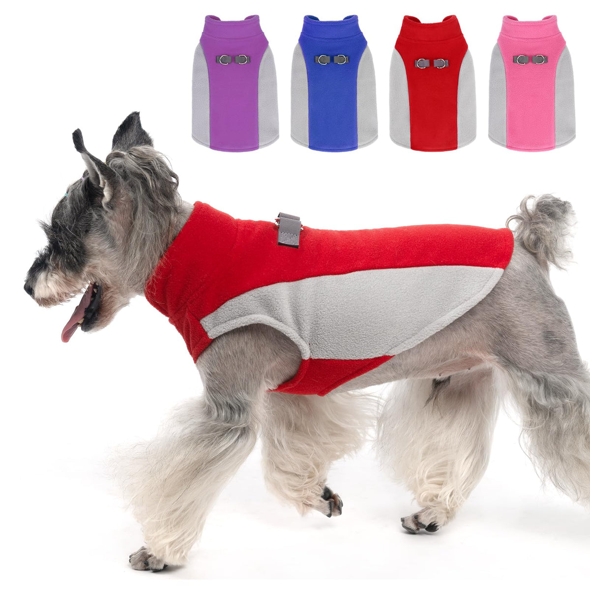 KOOLTAIL Small Dog Sweater pullover front view for warm comfort on walks