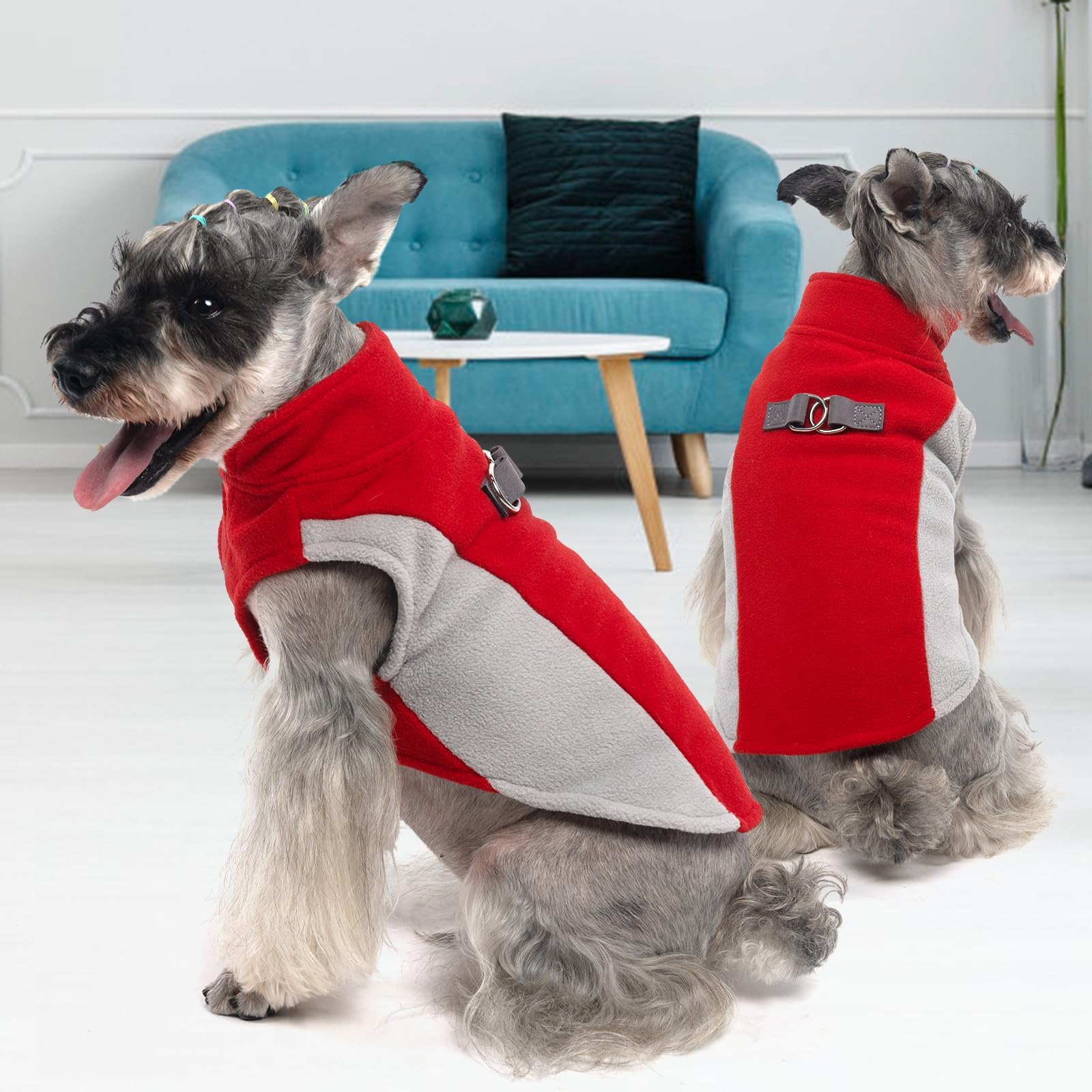 KOOLTAIL Small Dog Sweater red color showcase for holiday-ready look