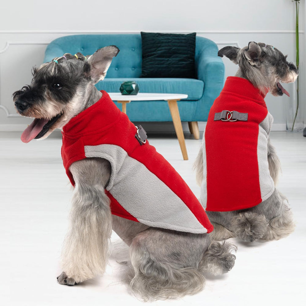 KOOLTAIL Small Dog Sweater red color showcase for holiday-ready look