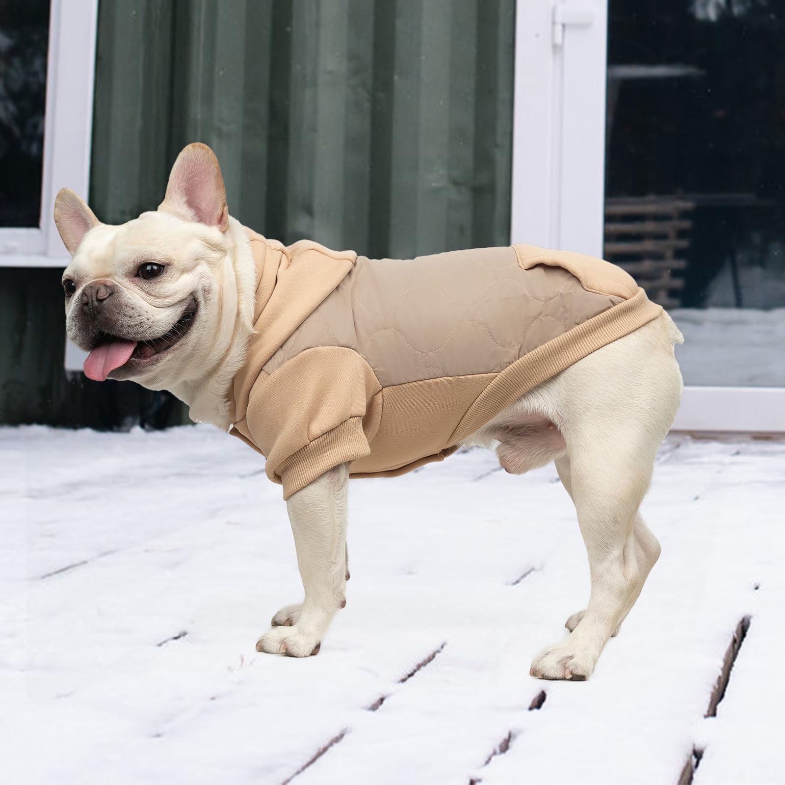 KOOLTAIL cozy beige coat suits puppies and cats for everyday warmth.