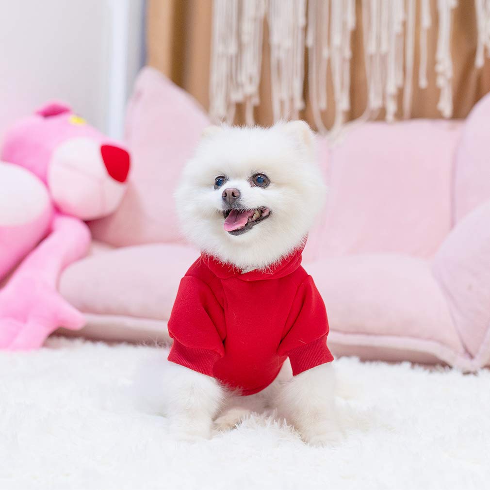 KOOLTAIL Sudadera para perros, talla M para perros medianos, ajuste cómodo.