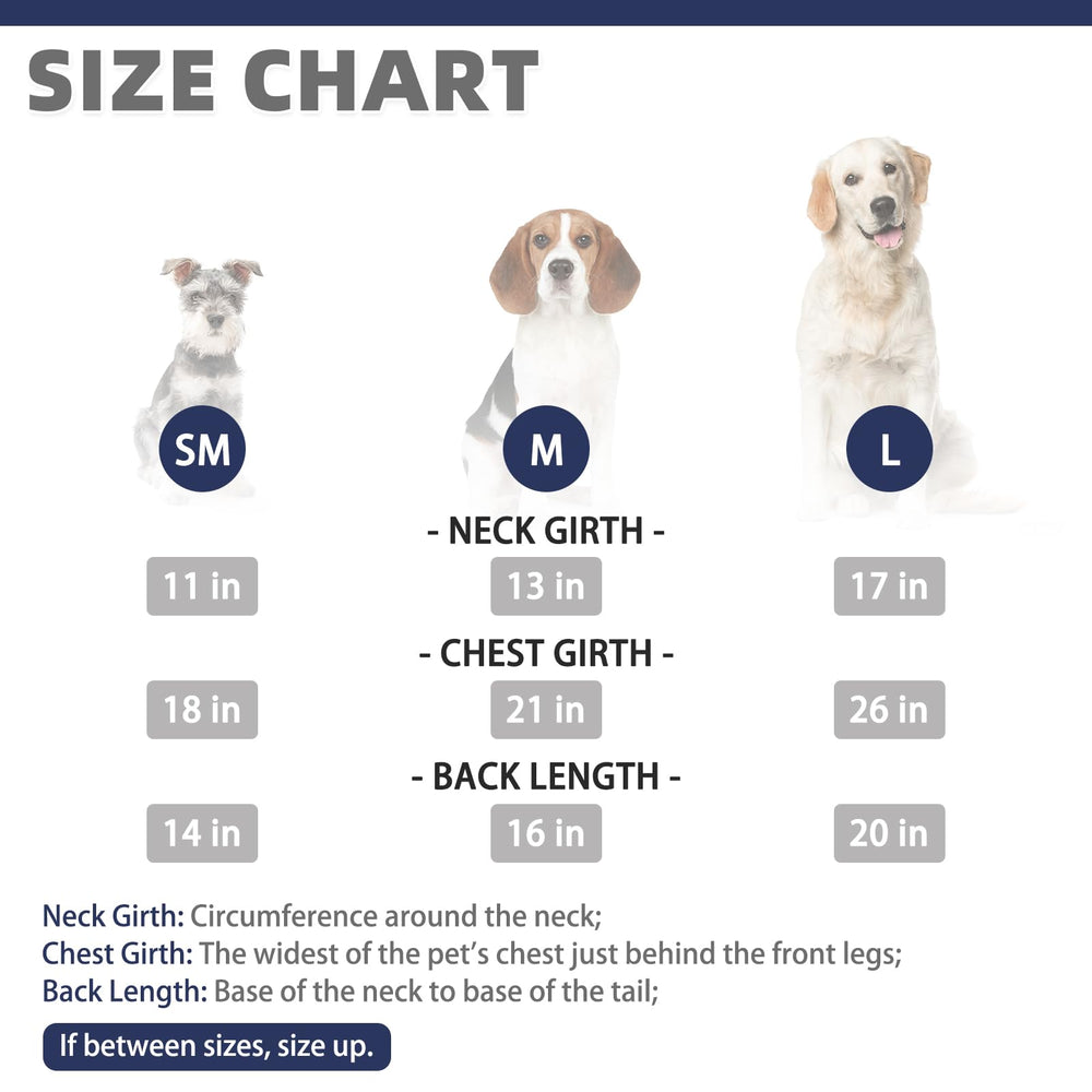 Kooltail suéter para perro, vista trasera, diseño clásico para uso diario.