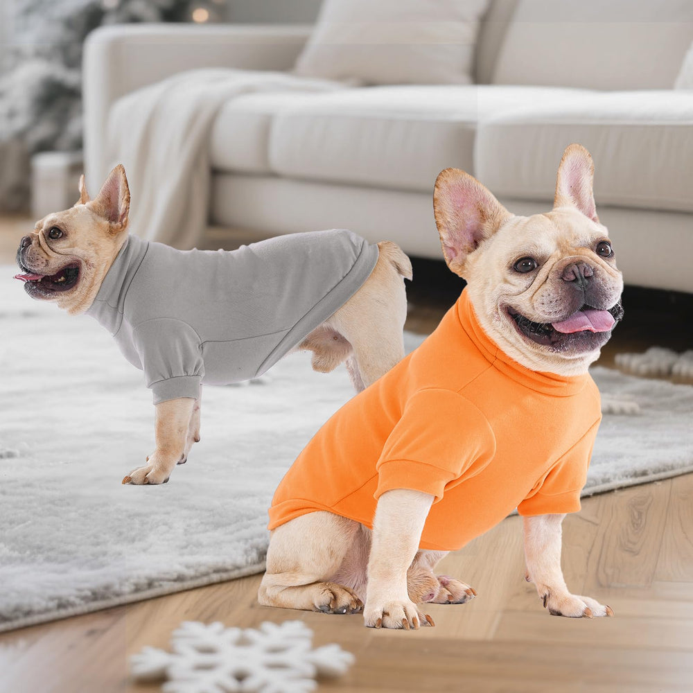 KOOLTAIL Thanksgiving dog sweater worn outdoors in autumn mood.