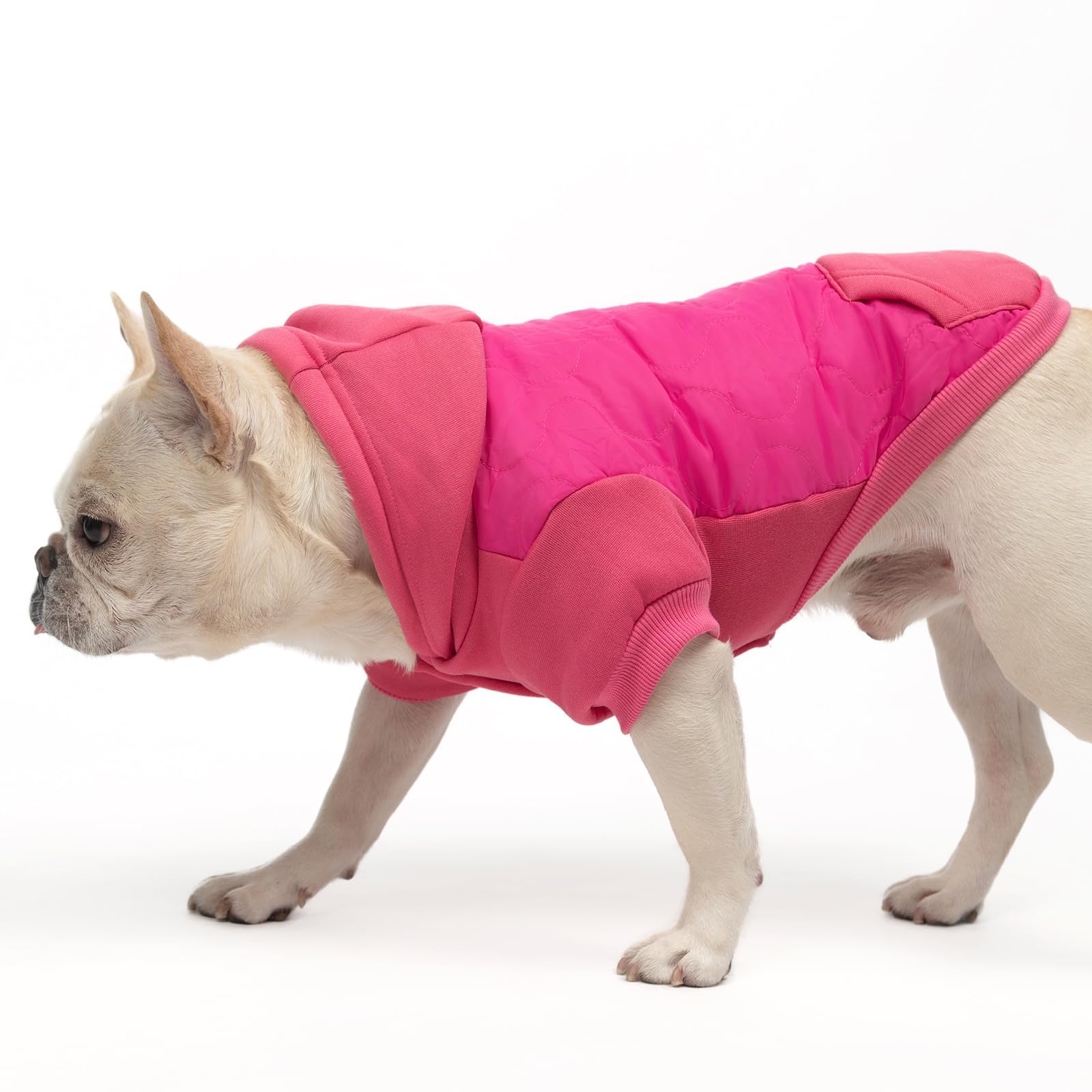 Back pocket on KOOLTAIL coat holds bags or small snacks