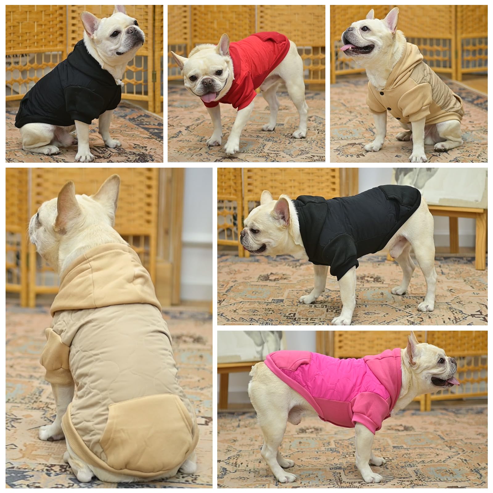 Higher belly cut on KOOLTAIL coat enables easy potty breaks
