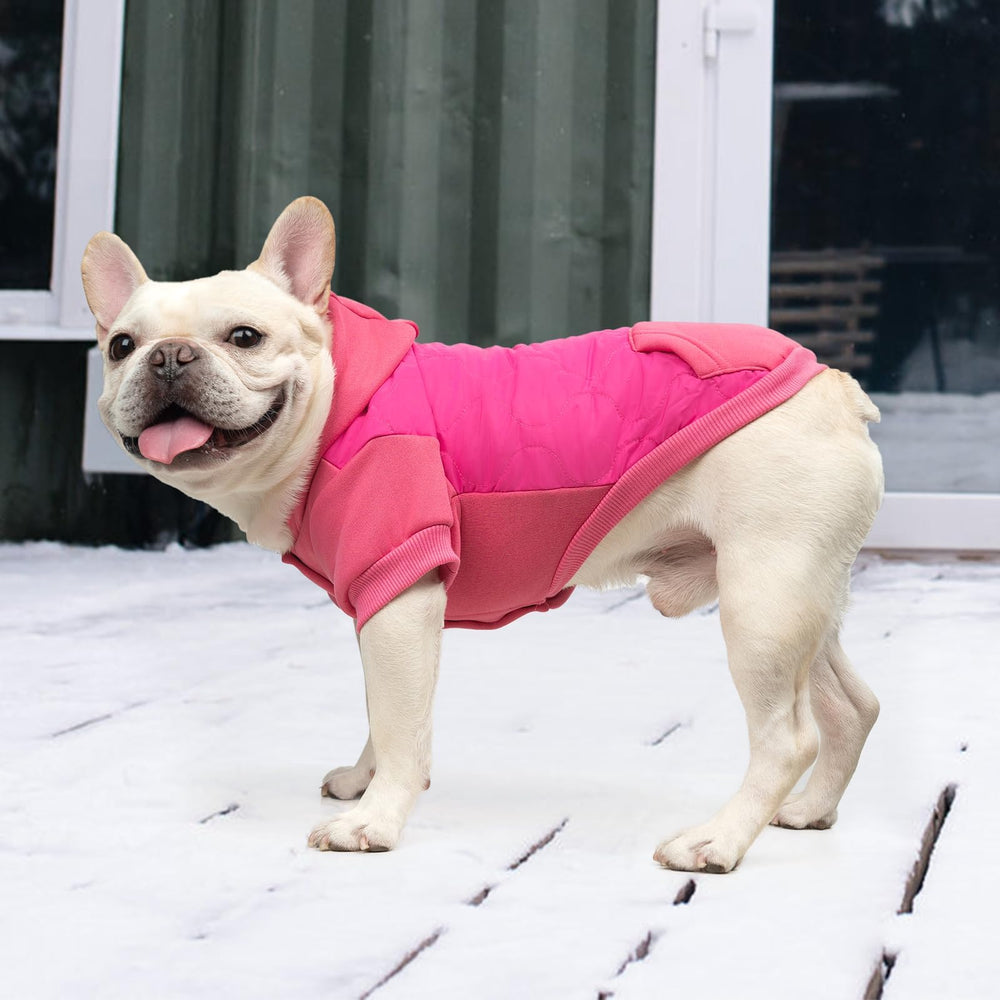 Rose red KOOLTAIL coat adds playful style for photos and daily wear