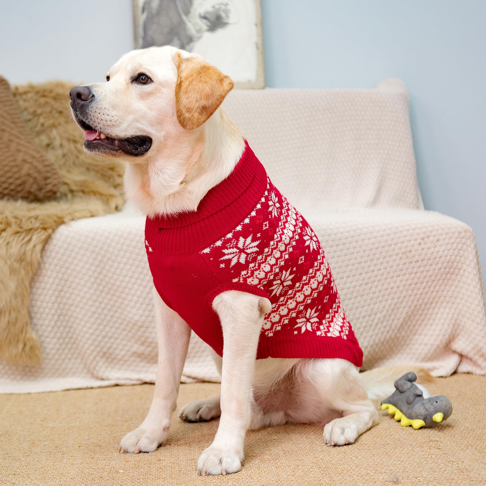 KOOLTAIL washable dog sweater care with gentle cycle and low heat