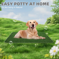 KOOLTAIL washable pee pad mat emphasizes reusable convenience and easy cleanup