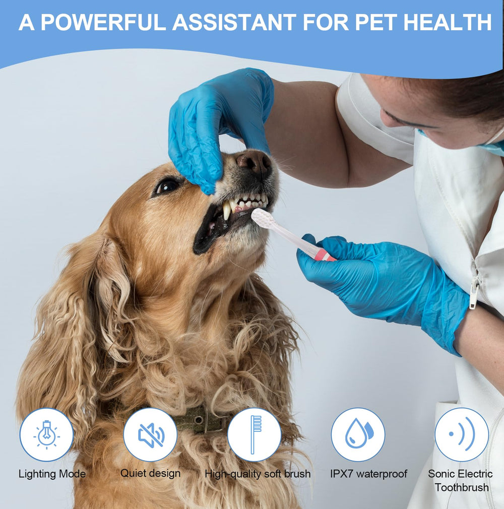 KOPBTBOY pet-electric-toothbrush soft bristles clearly aid gentle gum care.