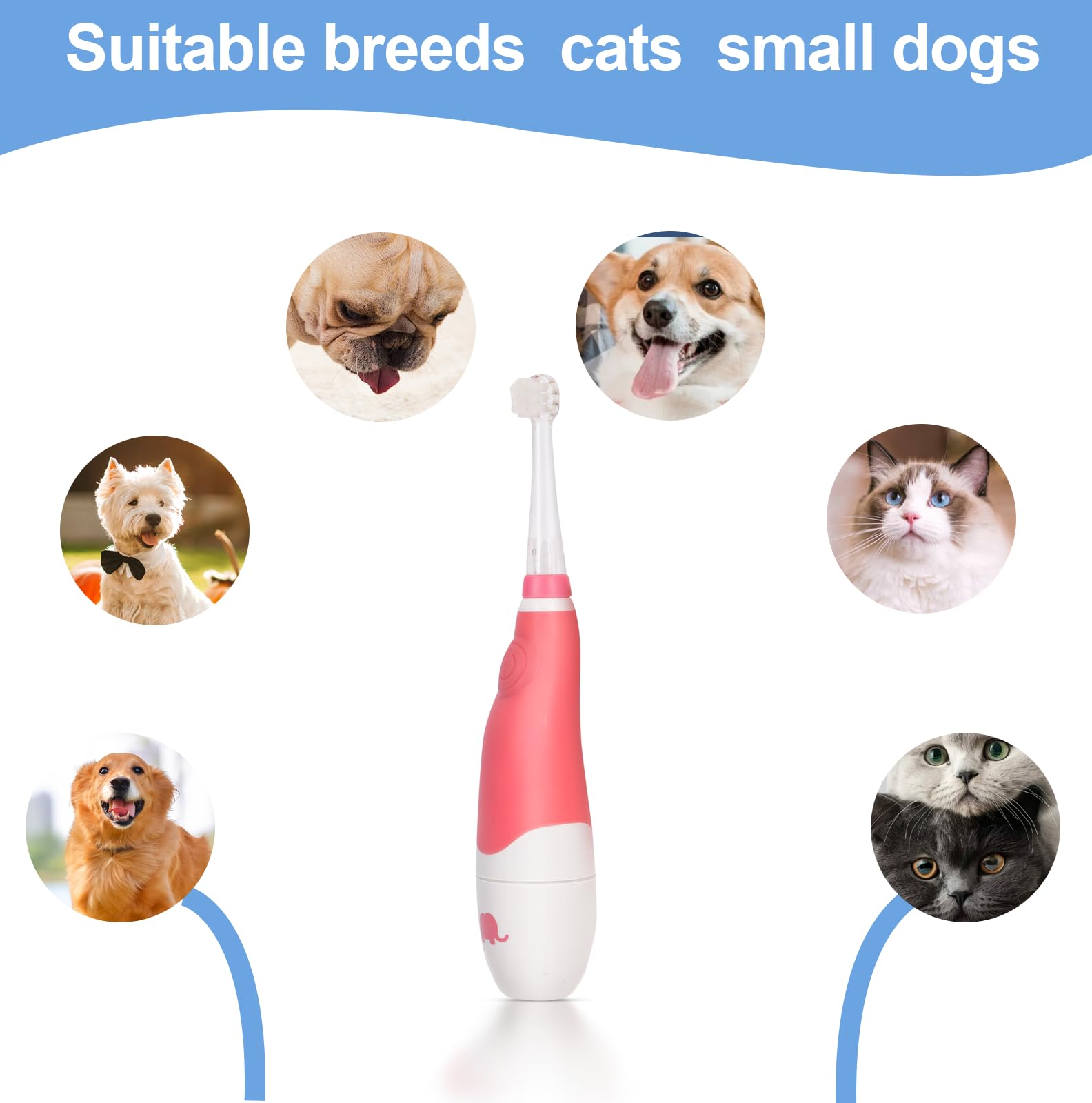 KOPBTBOY pet-toothbrush searchlight on illuminates the mouth for precise brushing.