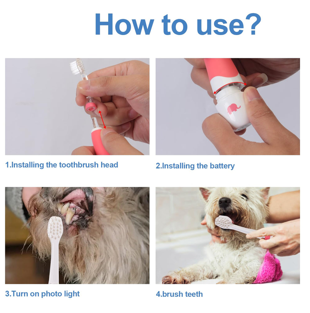 KOPBTBOY small-dog-cat-brushing-scene for easy daily dental care with soft bristles.
