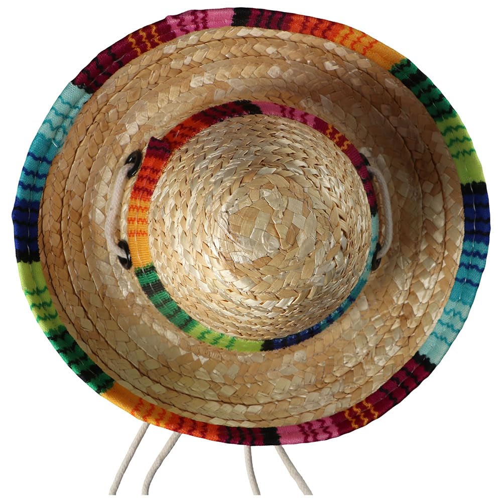 Kopida pet hat in sunflower straw secured with under-chin tie during play