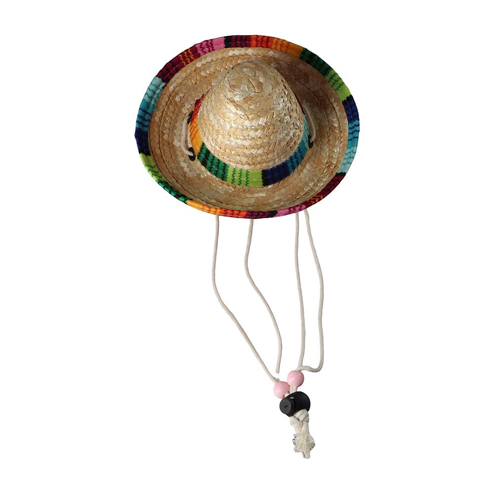 Kopida straw hat on a small dog for a sunny day look