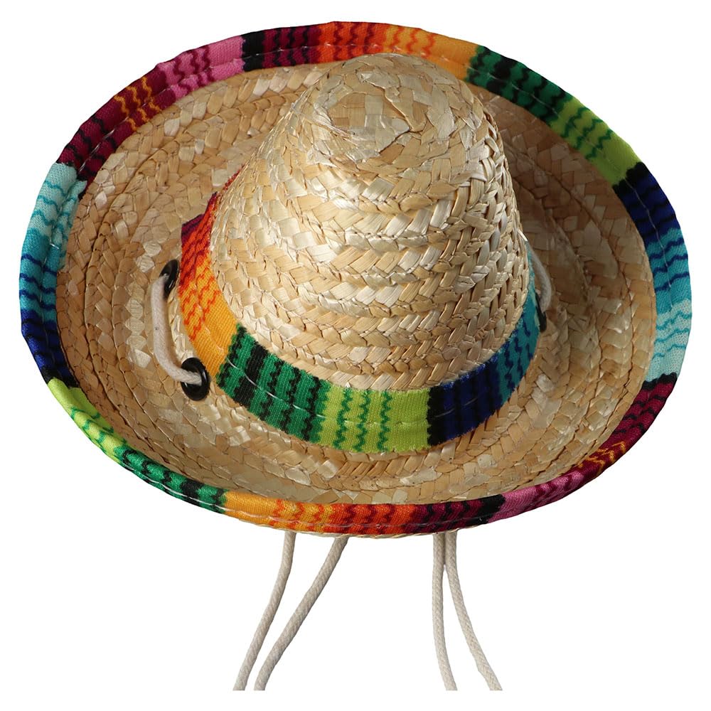 Kopida multicolor sunflower straw hat styled for a small cat
