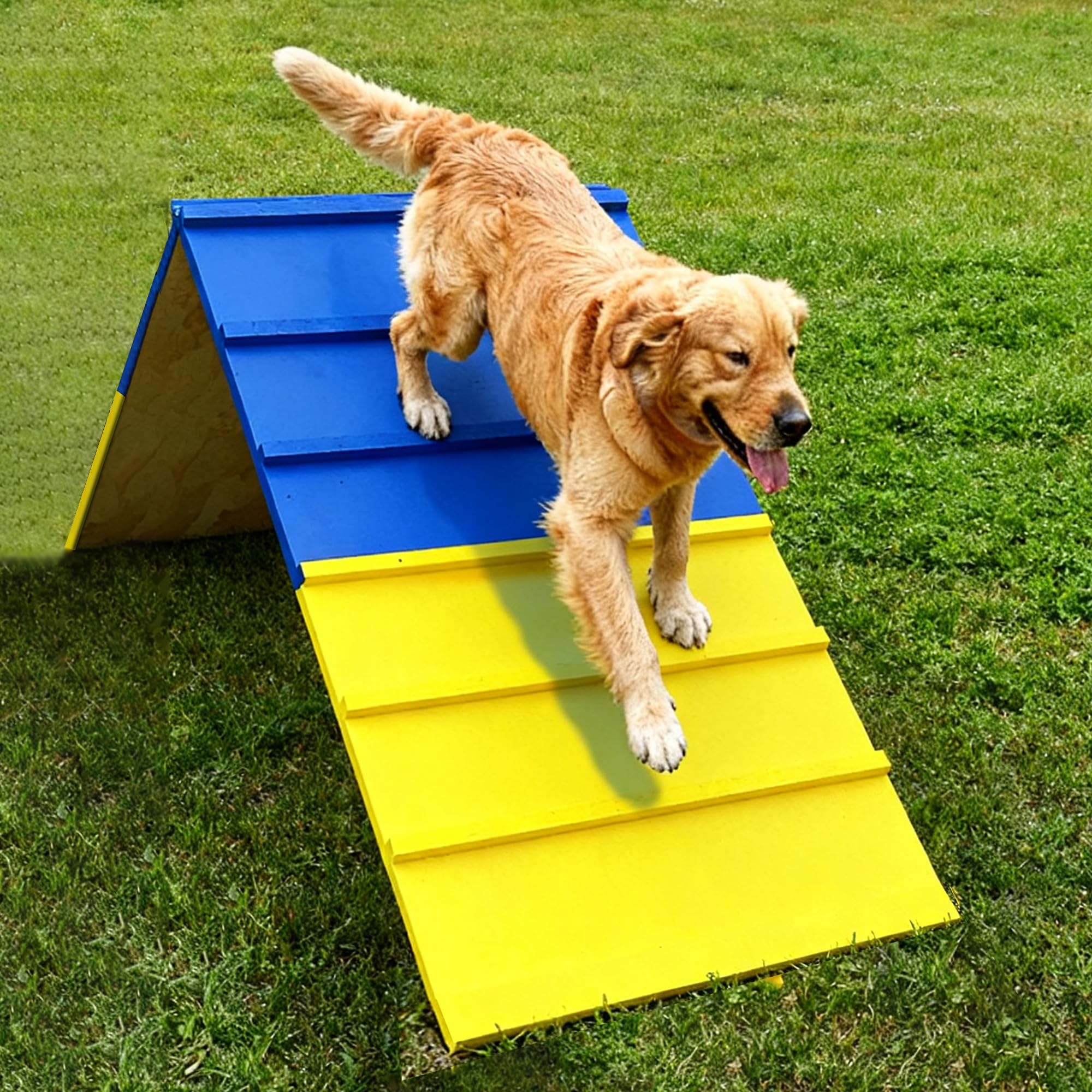 Koretech dog agility A-frame adjustable incline close-up reveals textured grip surfaces for paw stability.