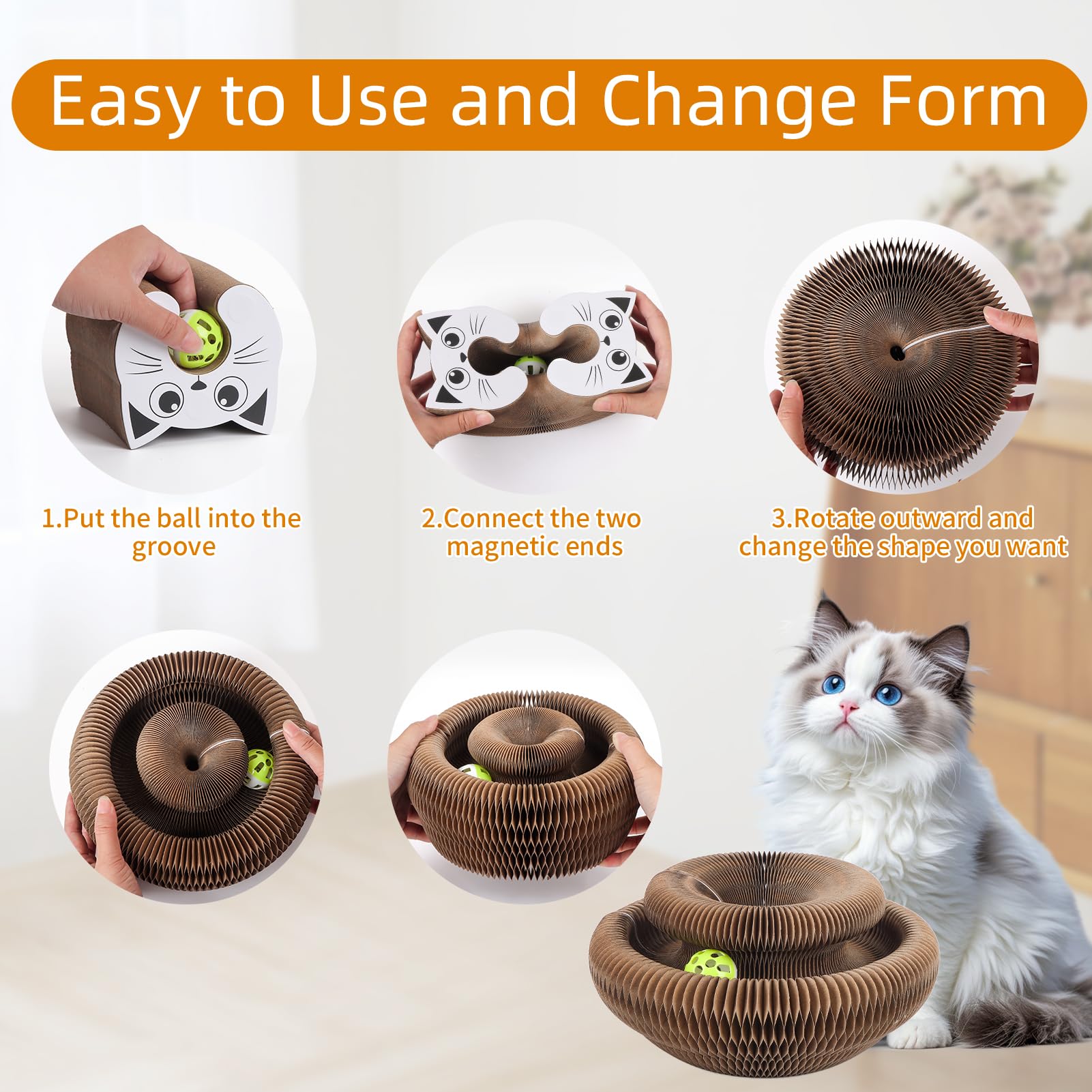 Korvanta Magic Organ cat-scratcher cat-playing demonstrates exercise and enrichment.