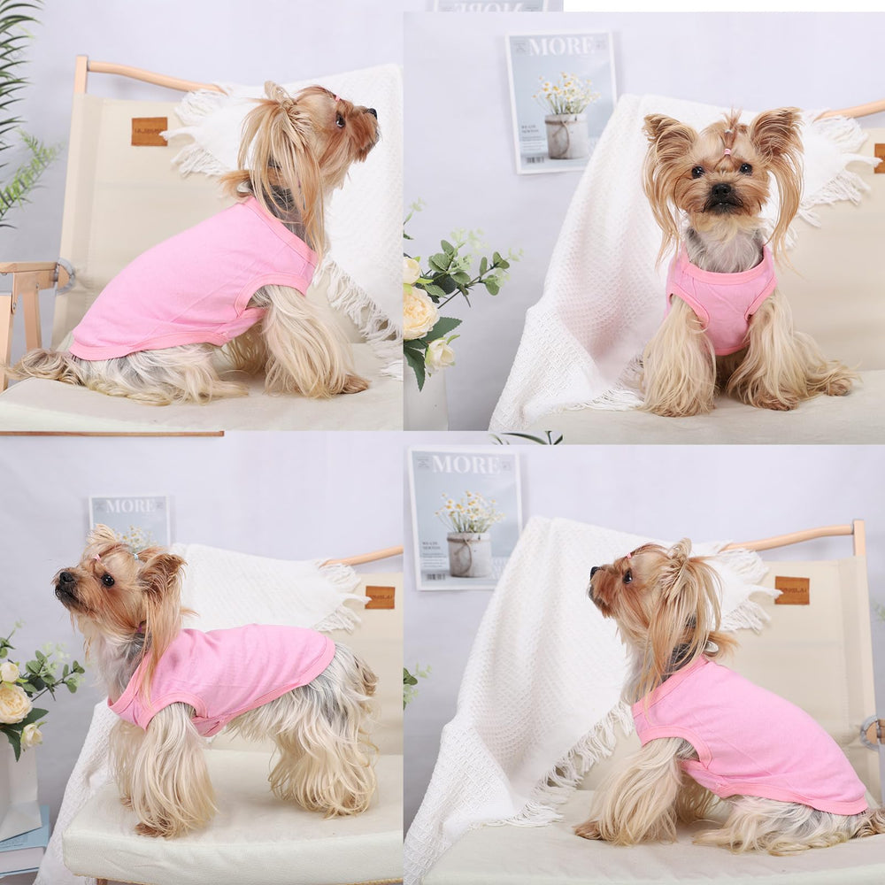 Kosiyi dog shirt sun-protection helps shield fur and skin on sunny outings.