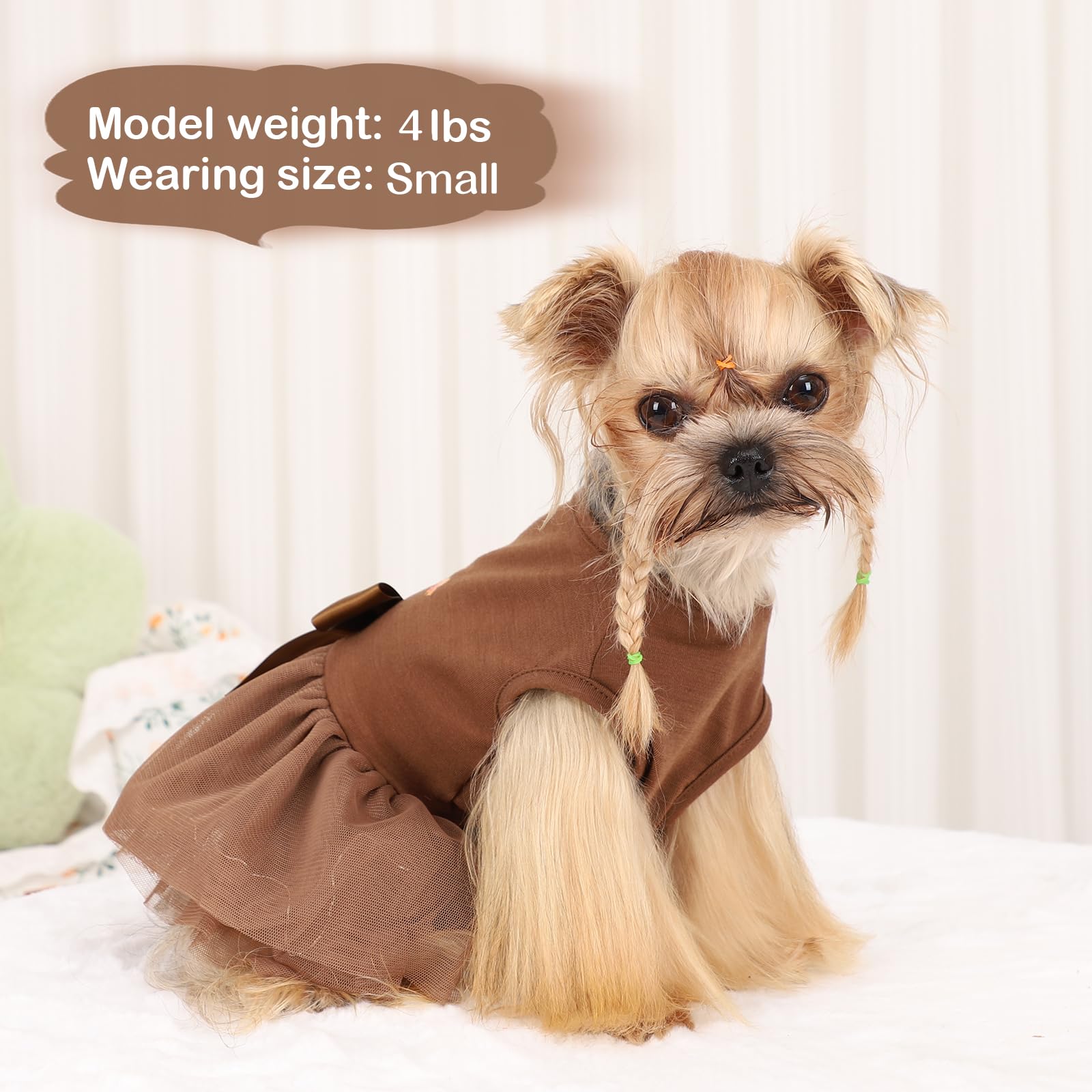 Kosiyi LED light dog costume with tulle shows three modes for events.