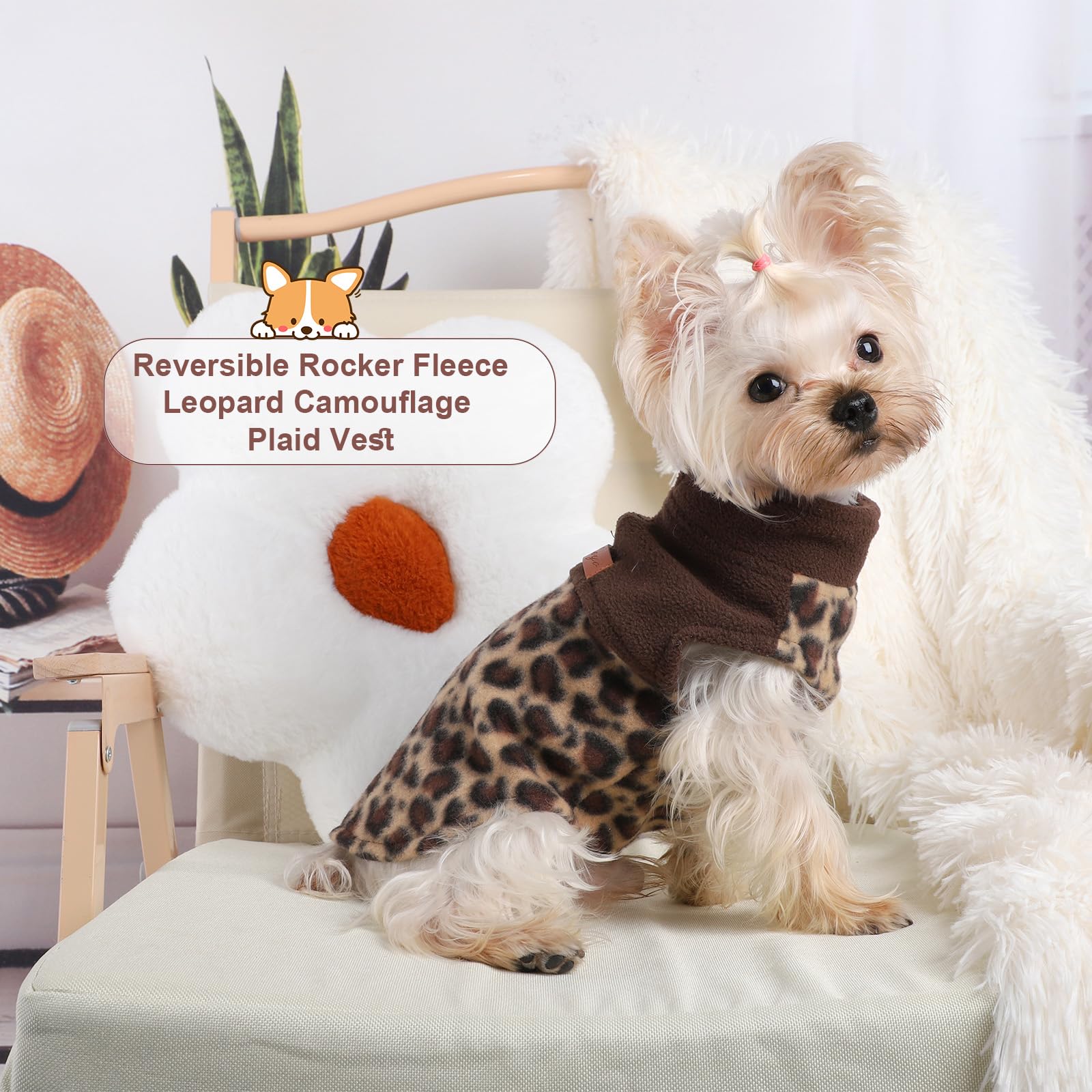 Kosiyi leopard dog sweater back view, stylish outerwear for daily walks.