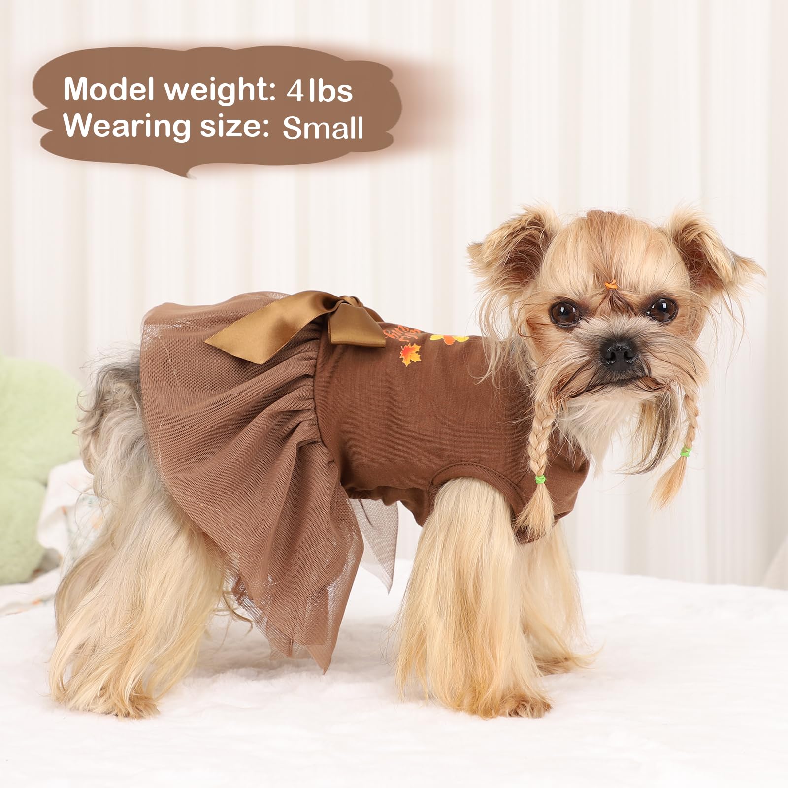 Kosiyi small dog dress ribbon bow, charming daily wear that boosts cute-pose moments.