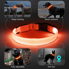KOSKILL LED dog collar waterproof material suitable for rain and outdoors