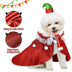 KOUPA Pet Costume hat-and-cape on pet—cute, comfortable wear for parties