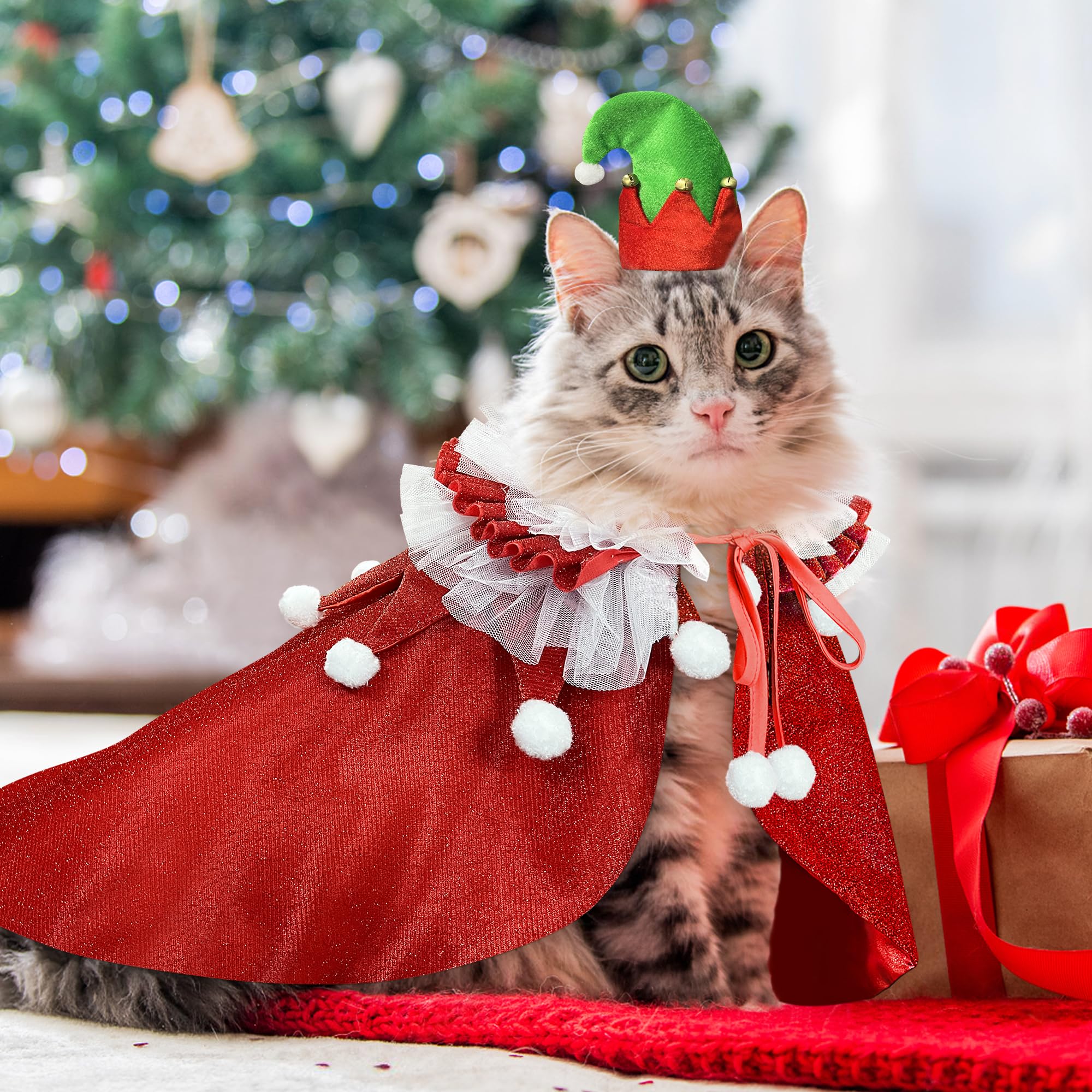 KOUPA Wizard Cape detail on dog—accentuates festive cosplay and elegance