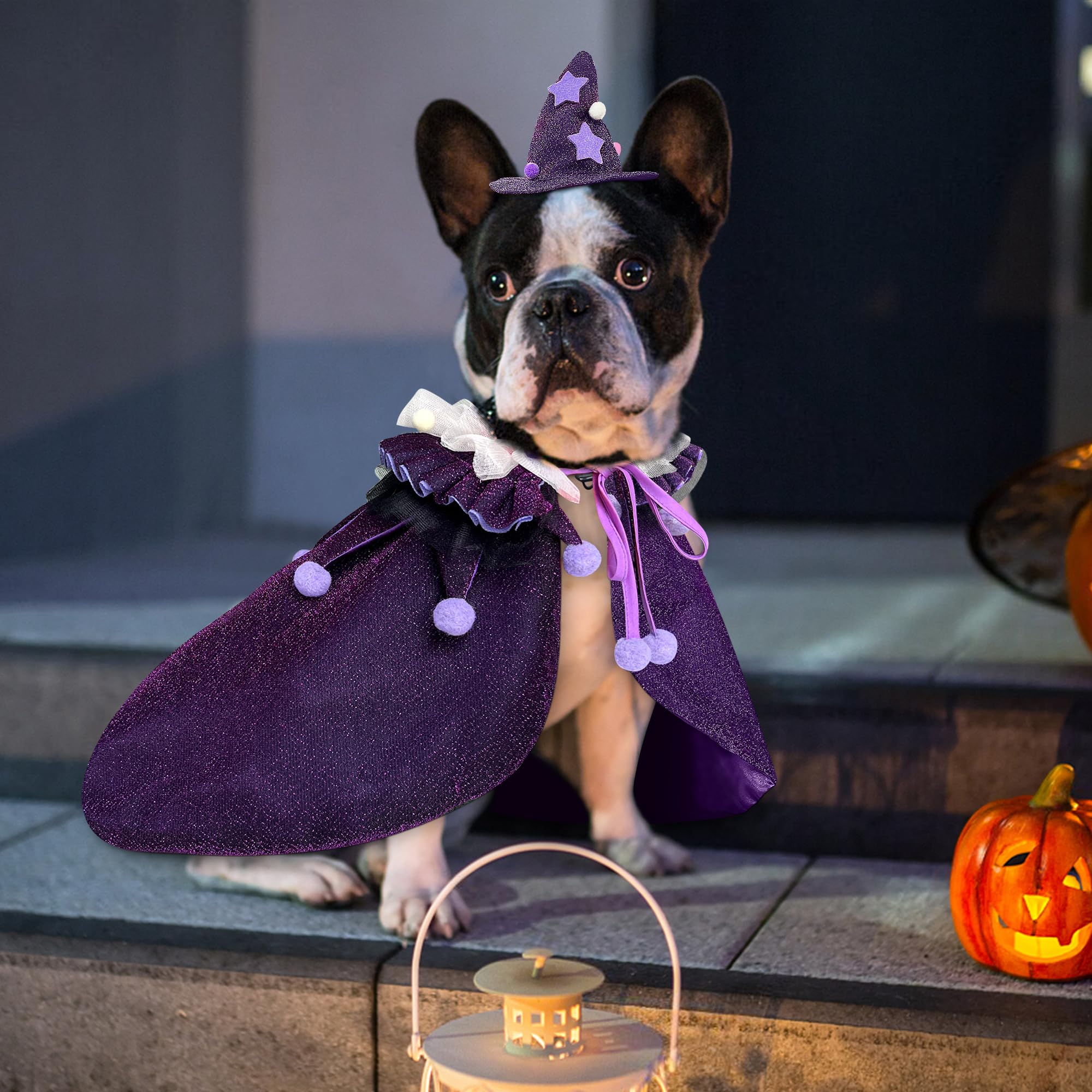 KOUPA easy-on easy-off costume for pets