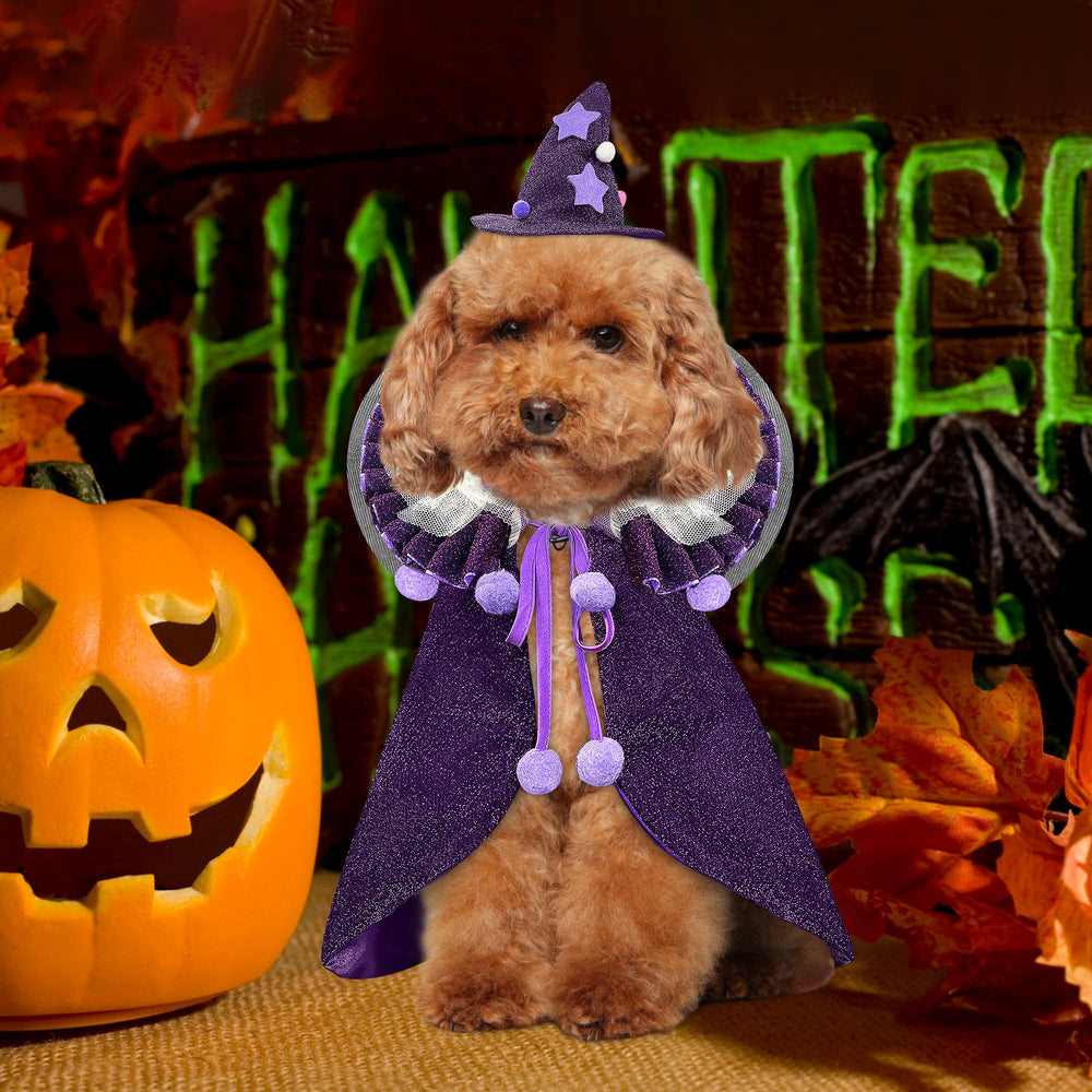 KOUPA wizard cape for pets—simple cosplay transformation