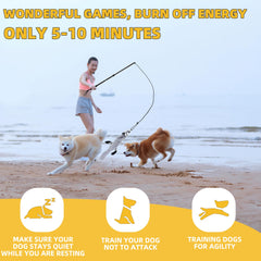 KOXXUD Flirt Pole Dogs beaver pendant with squeaker for interactive play