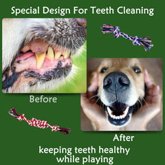 Koyukuk small dog rope toys rope-knot invites tug-of-war and interactive training indoors.