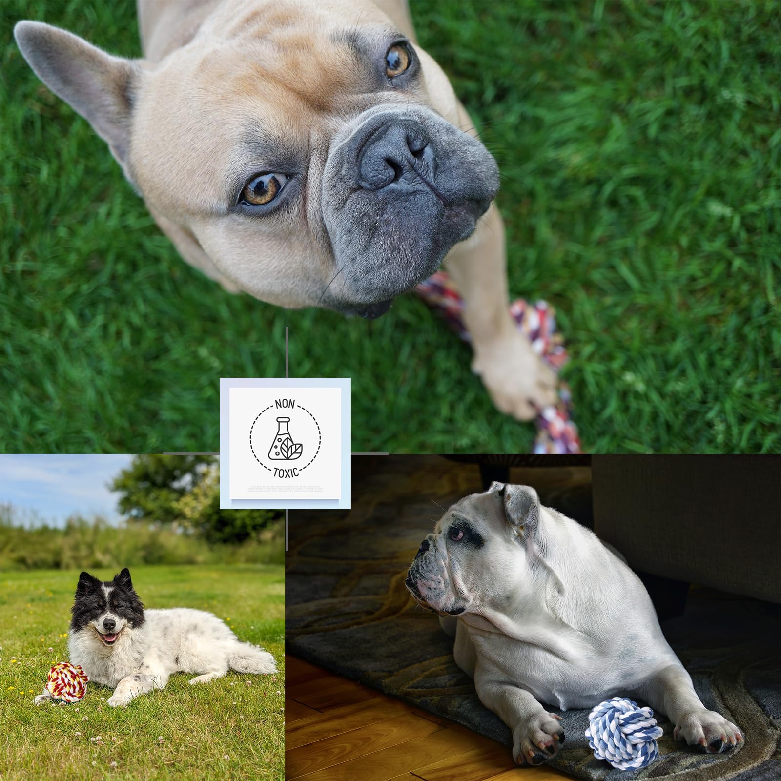 Koyukuk small dog rope toys teething-play-indoors supports dental massage and boredom relief.