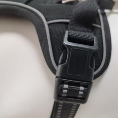 KPDPET no-pull harness top-handle enables secure lifting and control.