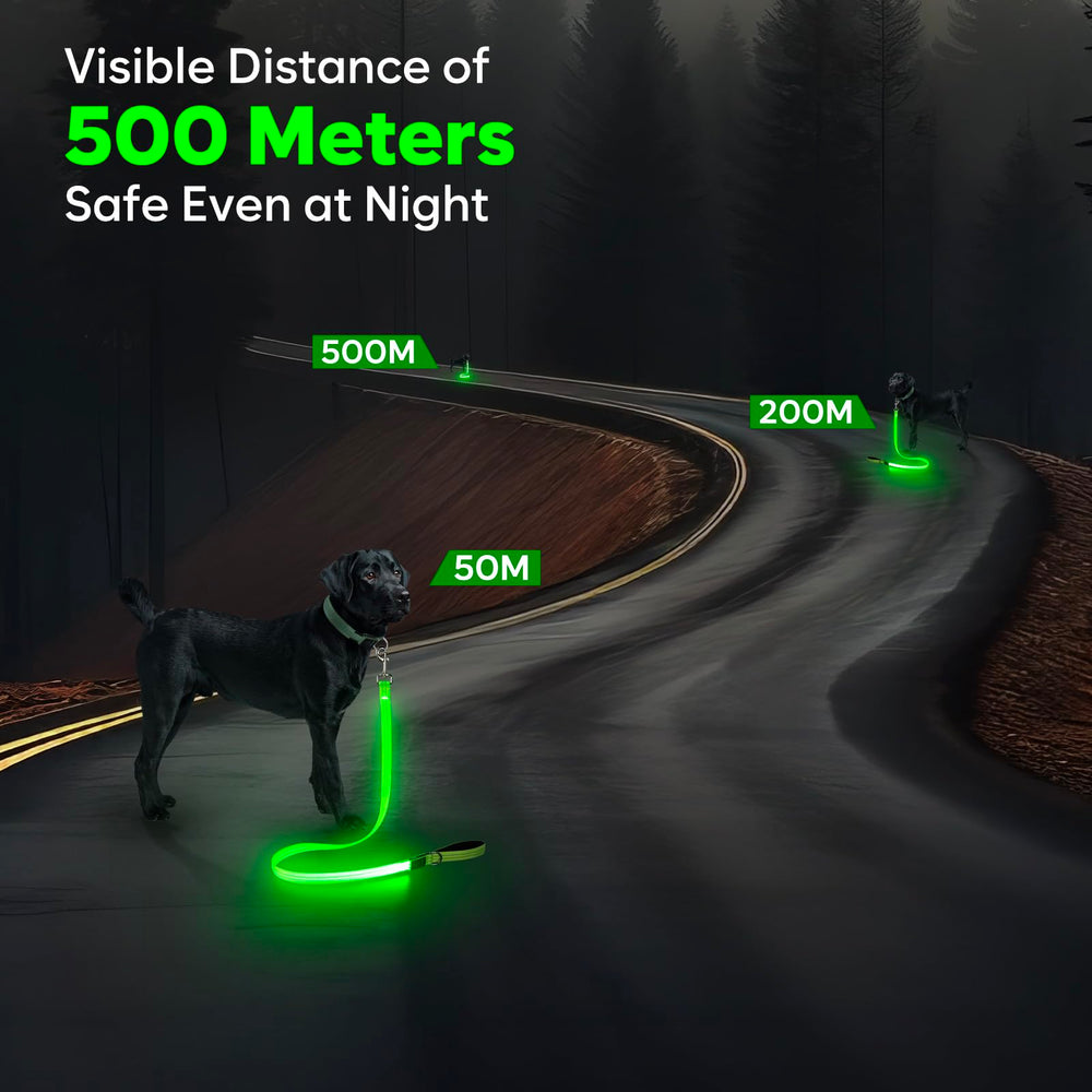 Kpuplol LED dog leash waterproof-nylon withstands rain and splashes for daily use.