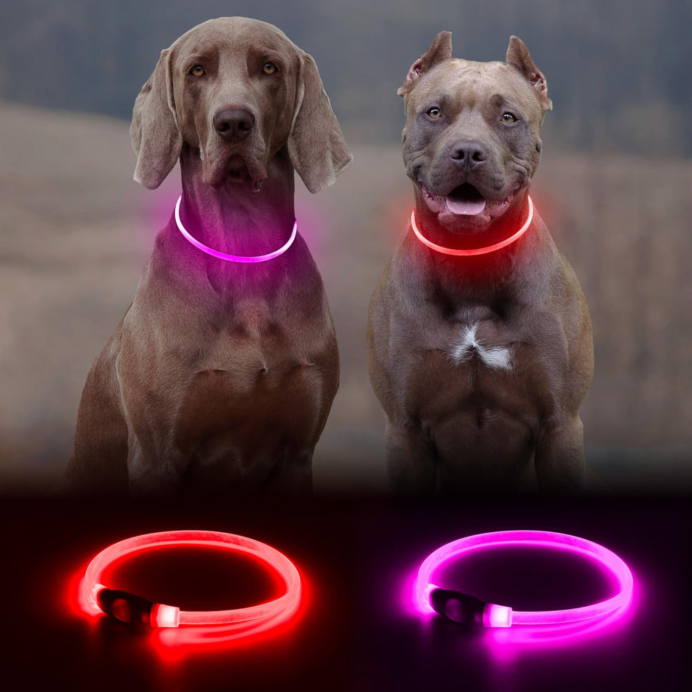 Kpuplol light-up dog collar pink for nighttime visibility