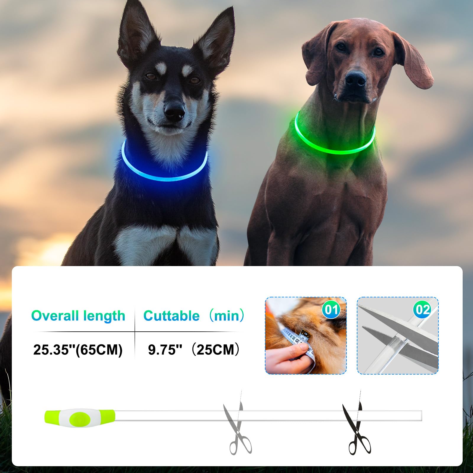 Kpuplol dog wearing collar during night walk in low-light environment.