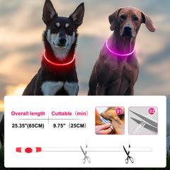 Kpuplol night-walk dog collar bright LED for early driver notice