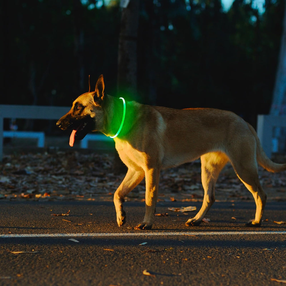 Kpuplol two-pack setup ready for backup or multiple pets.
