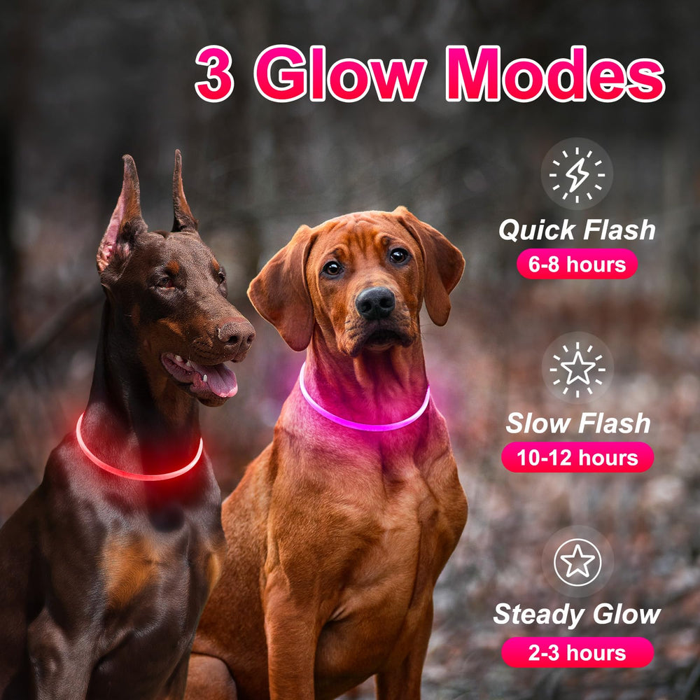 Kpuplol USB-rechargeable dog collar with quick charge benefits