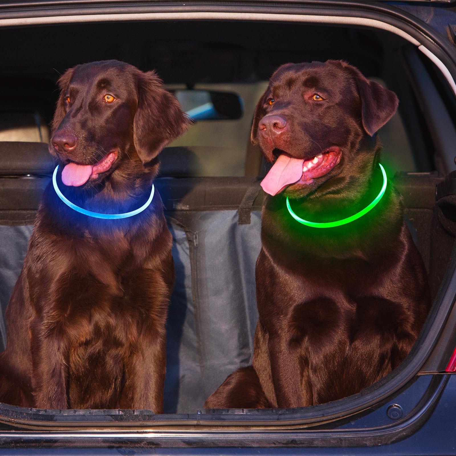 Kpuplol waterproof dog collar durability for rain and outdoor use.