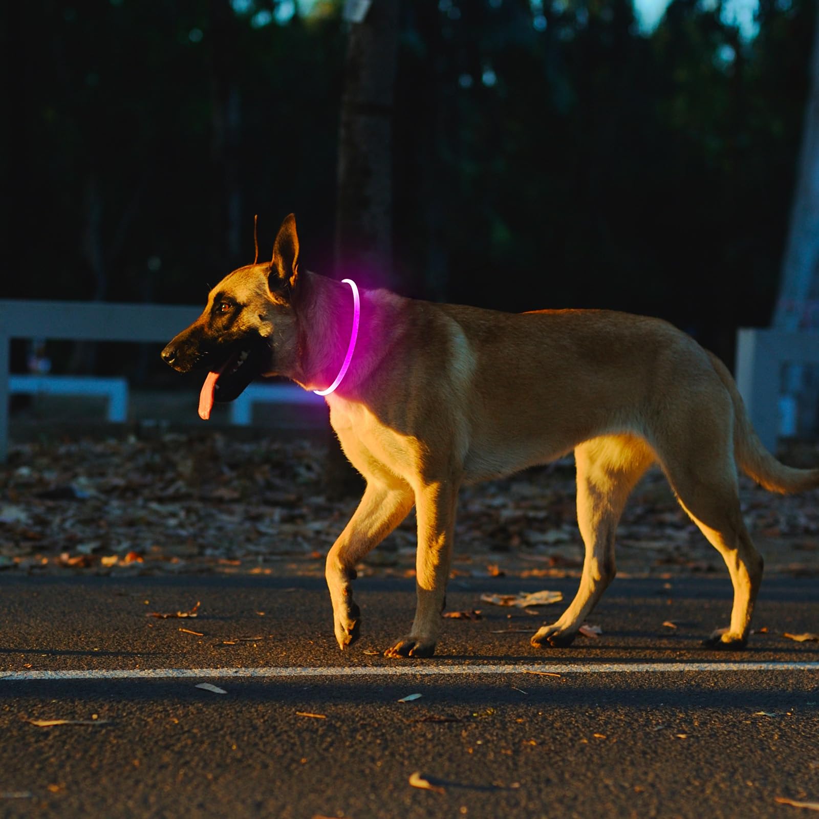 Kpuplol waterproof dog collar stands up to rain and mud