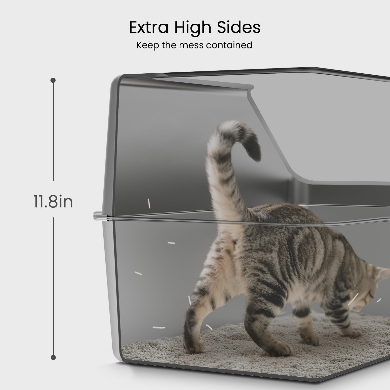 KPWACD interior space fits large cats comfortably for turning