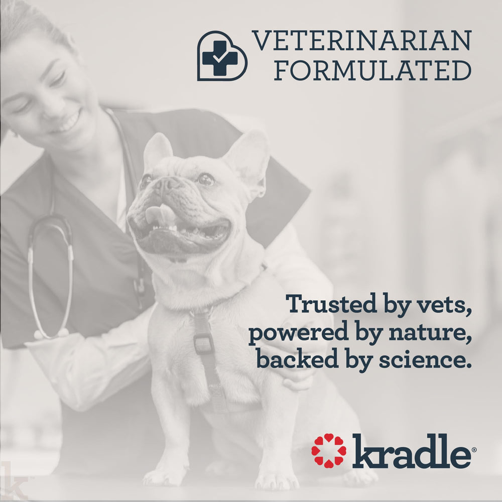 Kradle Calming Chews bottle with a relaxed dog during play time.
