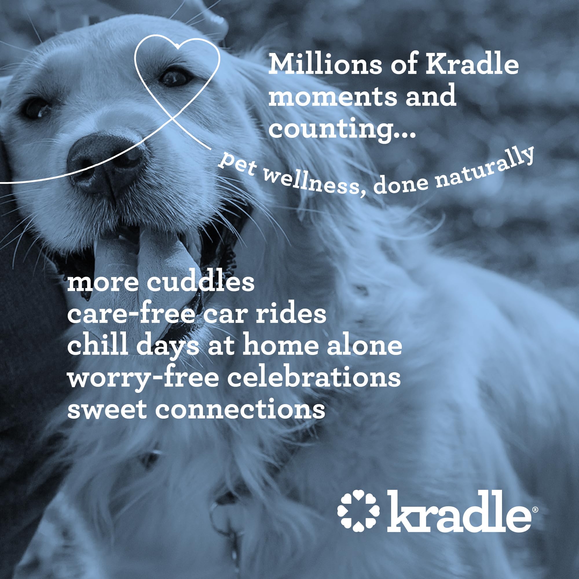 Kradle Calming Chews soft chews arranged for easy daily dosing.