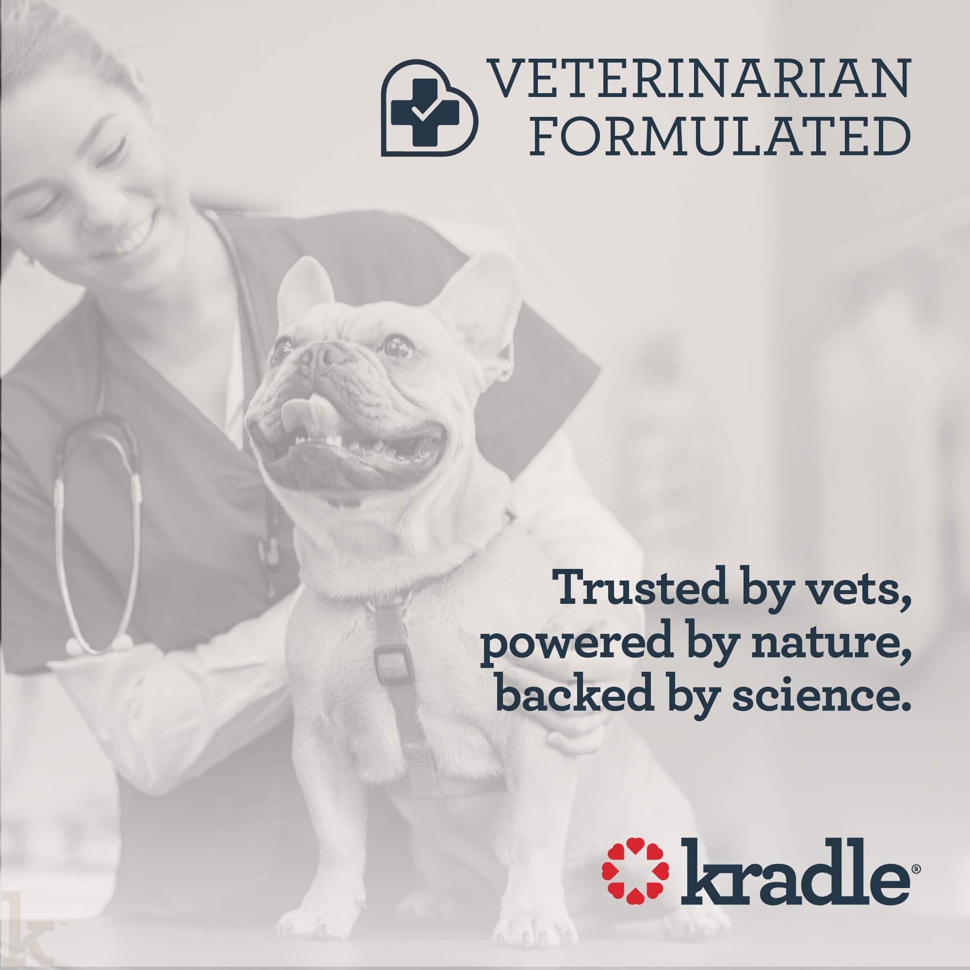 Kradle Hip and Joint Chews senior dog use closeup suggesting age-friendly joint support.