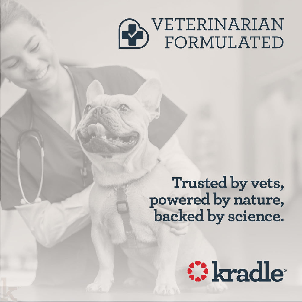 Kradle Hip and Joint Chews senior dog use closeup suggesting age-friendly joint support.