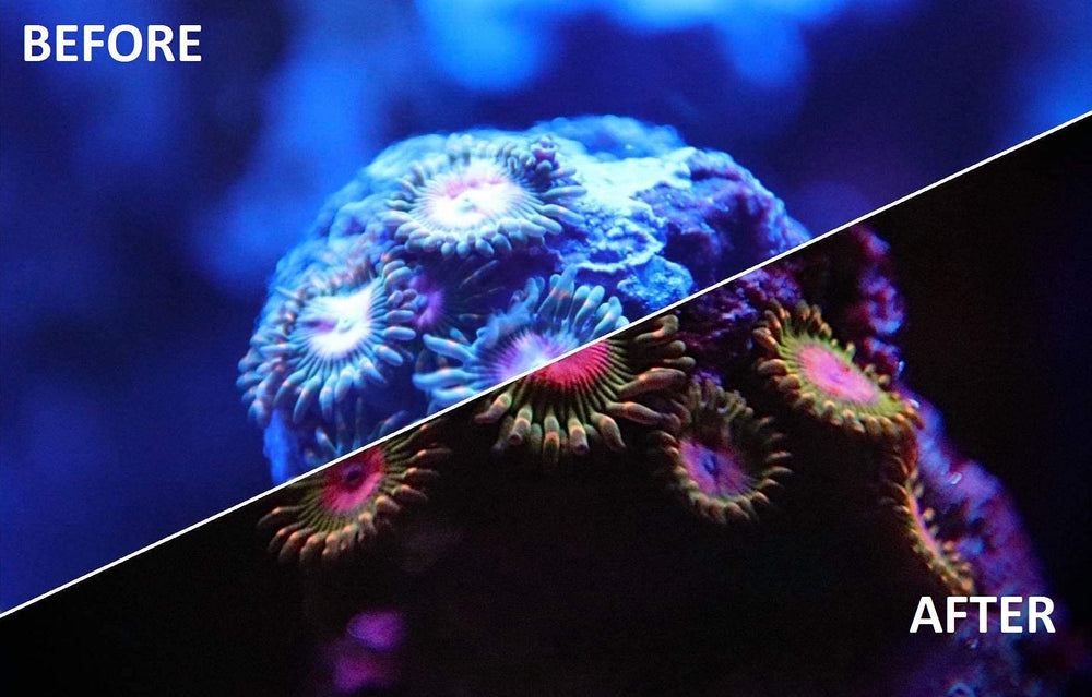 Kraken Reef UV Coral Viewing Glasses designed for aquarium enthusiasts and coral hobbyists.