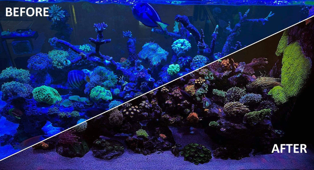 Kraken Reef UV Coral Viewing Glasses ideal for store visits to preview corals.