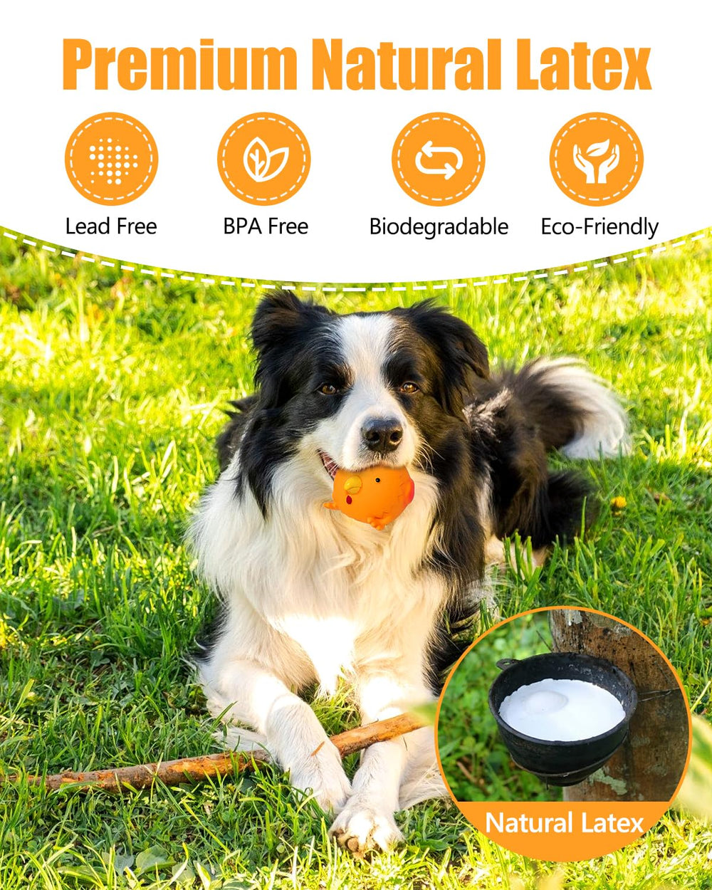 KrauzPet squeaky ball toy ready for fetch and chase.