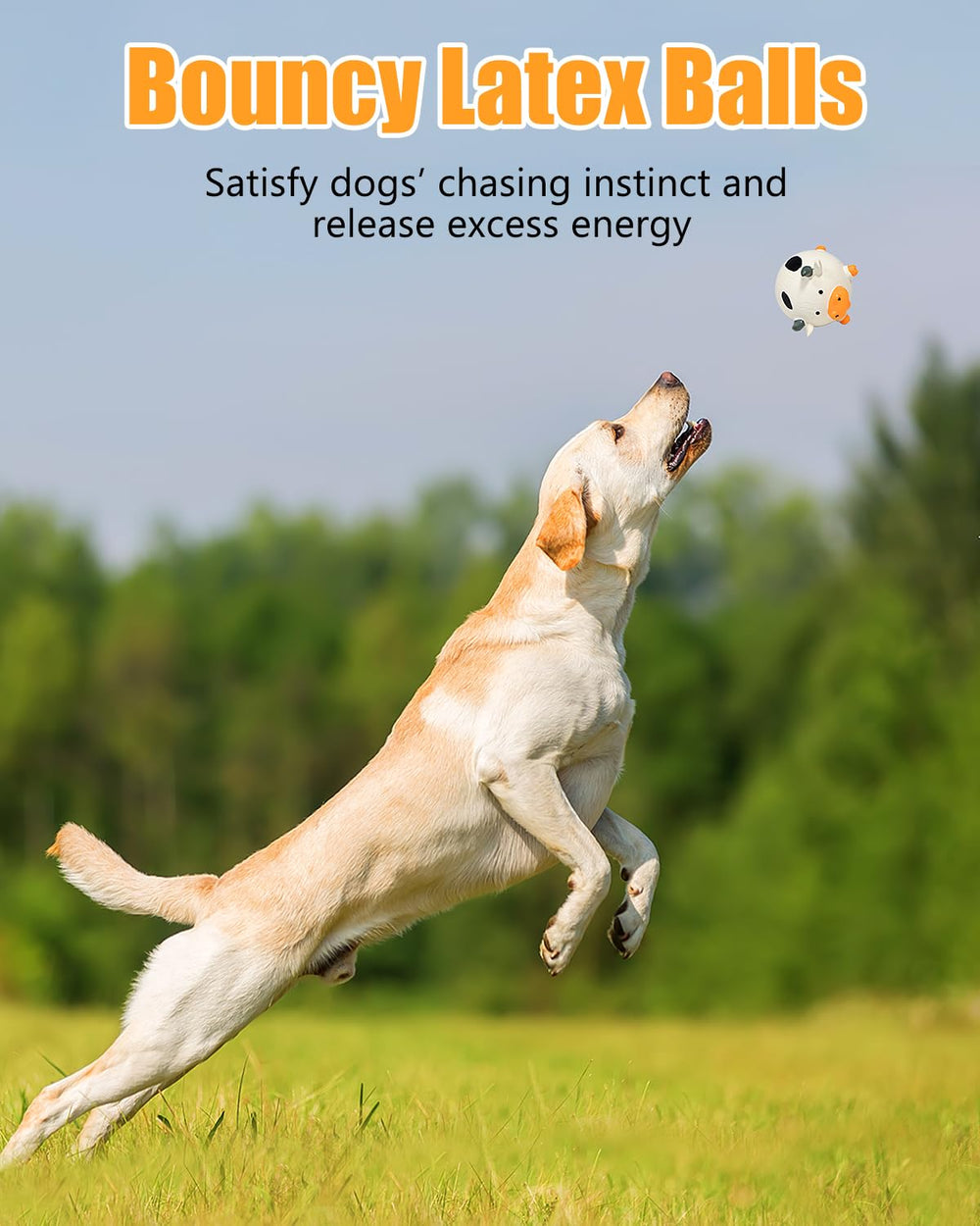 KrauzPet fetch session with bouncing toy encourages activity.